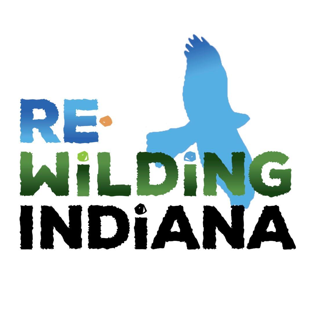 Hibernation Ball - logo